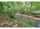 Picturesque creek flowing through a serene wooded area for nature enjoyment at 3267 Standing Peachtree Nw Trl, Kennesaw, GA 30152