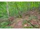 Scenic nature trail winding through lush greenery along a creek for outdoor exploration at 3267 Standing Peachtree Nw Trl, Kennesaw, GA 30152