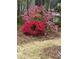 Lush azalea bushes with vibrant pink and red flowers add color to the beautifully landscaped yard at , Marietta, GA 30064