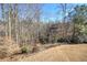 Backyard view showing trees and a section of lawn at 103 Old Avery Dr, Canton, GA 30115