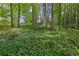 Abundant trees, natural ground cover, and natural landscaping create a serene backyard at 2858 Mornington Nw Dr, Atlanta, GA 30327