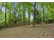 The backyard features a wooden fence and mature trees at 856 Bridgewater Sw St, Atlanta, GA 30310