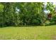 Spacious backyard with mature trees is ideal for outdoor activities and relaxing at 11569 Finley St, Suwanee, GA 30024
