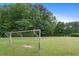Green soccer field with nets for active play, set against a backdrop of lush trees and blue sky at 1820 Hunters Moon Dr, Alpharetta, GA 30005