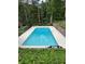 Inviting community pool surrounded by lush greenery and a concrete patio at 1233 Woodland Ne Ave # 5, Atlanta, GA 30324