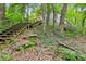 Wooded backyard with steps leading up to the house at 4217 Wieuca Overlook Ne, Atlanta, GA 30342