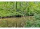 Scenic view of the creek behind the home at 4217 Wieuca Overlook Ne, Atlanta, GA 30342