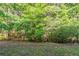 Backyard of this home has a lush, green lawn and mature trees providing ample shade and privacy at 6285 Polar Fox Ct, Riverdale, GA 30296