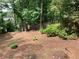 Private backyard features lush greenery and a wooden fence, offering a serene outdoor retreat at 4040 Summit Dr, Marietta, GA 30068
