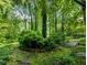 Picturesque backyard oasis with mature trees, moss, and manicured greenery at 2910 Waverly Place Dr, Dacula, GA 30019