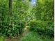 Lush backyard pathway surrounded by trees and natural beauty and greenery at 2910 Waverly Place Dr, Dacula, GA 30019