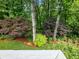 Beautiful backyard landscape with trees and colorful shrubbery, landscaped and appealing at 2910 Waverly Place Dr, Dacula, GA 30019