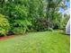 Lush backyard featuring manicured lawn, mature trees, and a bench seating area, perfect for outdoor enjoyment at 2910 Waverly Place Dr, Dacula, GA 30019