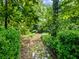 Picturesque backyard path lined with verdant greenery, offering a tranquil escape into nature at 2910 Waverly Place Dr, Dacula, GA 30019