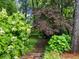 Charming backyard path lined with lush greenery and mature trees creating a tranquil and private garden space at 2910 Waverly Place Dr, Dacula, GA 30019