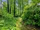 Beautiful backyard scene with lush greenery and a path through the trees at 2910 Waverly Place Dr, Dacula, GA 30019