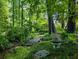 Lush backyard pathway with stone bridge, garden art, and verdant foliage at 2910 Waverly Place Dr, Dacula, GA 30019