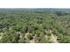 Overhead view of a neighborhood nestled among lush, mature trees at 1890 Silvastone Dr, Decatur, GA 30033