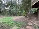 View of the backyard showing a mature tree coverage, landscape, and a stairway to the house at 1935 Lamp Post Ln, Lawrenceville, GA 30043