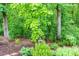 View of backyard with iron fence, lush green trees, and well-manicured plants at 225 Sundance Dr, Woodstock, GA 30188