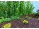 Well-kept backyard garden featuring a variety of plants at 225 Sundance Dr, Woodstock, GA 30188