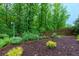 Backyard garden area with plants, mulch and shrubs plus wooden privacy fence at 225 Sundance Dr, Woodstock, GA 30188