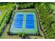 Aerial view of two tennis courts in a neighborhood at 225 Sundance Dr, Woodstock, GA 30188