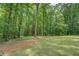 Expansive backyard with lush greenery and space for outdoor activities at 15 Walnut Ridge Way, Covington, GA 30014