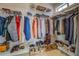 Well-organized walk-in closet with shelving, hanging rods, and plenty of storage at 15 Walnut Ridge Way, Covington, GA 30014