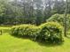Lush backyard with green grass and manicured bushes is perfect for outdoor activities at 4380 Highway 138, Oxford, GA 30054