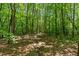 Wooded path on property surrounded by beautiful green trees at 1016 Green Dr, Canton, GA 30114