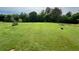 This vast backyard contains green grass, green woods, and a fenced perimeter at 19 Magnolia Ne Ct, Rydal, GA 30171