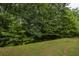 Tree-lined backyard with a sloped hill. Ground is partially covered in green grass at 4457 Watson Ridge Dr, Stone Mountain, GA 30083