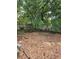 A backyard scene with overgrown vegetation and brick remnants at 4253 Hanes Dr, Decatur, GA 30035