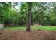 Large backyard with mature trees and plenty of room to relax or play at 4448 Denise Dr, Decatur, GA 30035