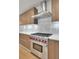 Modern kitchen features stainless steel appliances, a sleek range hood, and stone backsplash at 867 Peachtree Ne St # 202, Atlanta, GA 30308