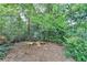 Backyard wooded area with mature trees and ground cover at 1885 Milfield Cir, Snellville, GA 30078