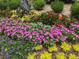 Vibrant flower bed featuring a variety of colorful blooms and lush greenery, enhancing the landscape at 1800 Clairmont Lk # 213, Decatur, GA 30033
