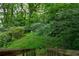 A backyard with dense greenery, as seen from the stairs of a wooden deck at , Atlanta, GA 30310