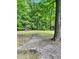 Spacious backyard with mature trees, offering privacy and ample space for outdoor activities at 175 Smith Ferguson Rd, Dallas, GA 30157