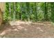 The property boasts a lush backyard featuring tall trees and flourishing plant life at 3661 Boring Rd, Decatur, GA 30034