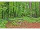Rustic fire pit area surrounded by lush greenery, creating a serene and secluded outdoor space at 1275 Fontainebleau Ct, Lawrenceville, GA 30043