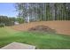 Large backyard featuring a landscaped hill with a lush green lawn at 419 Southland Cir, Canton, GA 30115
