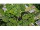 Aerial view of the neighborhood surrounded by lush green trees at 50 Woodland St, Buford, GA 30518