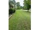 Expansive front yard with manicured lawn and mature trees providing shade and curb appeal at 6290 S Skyline Dr, Douglasville, GA 30135