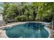 Backyard in-ground pool featuring concrete surround, mature trees, and a slide at 600 Ponderosa Ct, Fayetteville, GA 30214