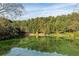 A serene pond sits in front of a canopy of trees, reflecting the sky above at 5620 Moresby Ct, Alpharetta, GA 30022