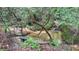 Serene backyard creek-side bench and the beauty of the natural surroundings at 7460 Highway 101 N, Rockmart, GA 30153