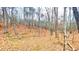 Wooded backyard with plenty of trees and fallen leaves covering the ground at 7460 Highway 101 N, Rockmart, GA 30153