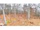 Wooded backyard with plenty of trees and fallen leaves covering the ground at 7460 Highway 101 N, Rockmart, GA 30153